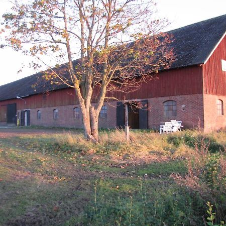 Stalemara Gard Krickan Fågelmara Buitenkant foto