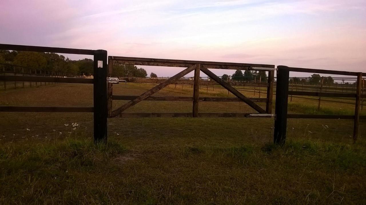 Stalemara Gard Krickan Fågelmara Buitenkant foto