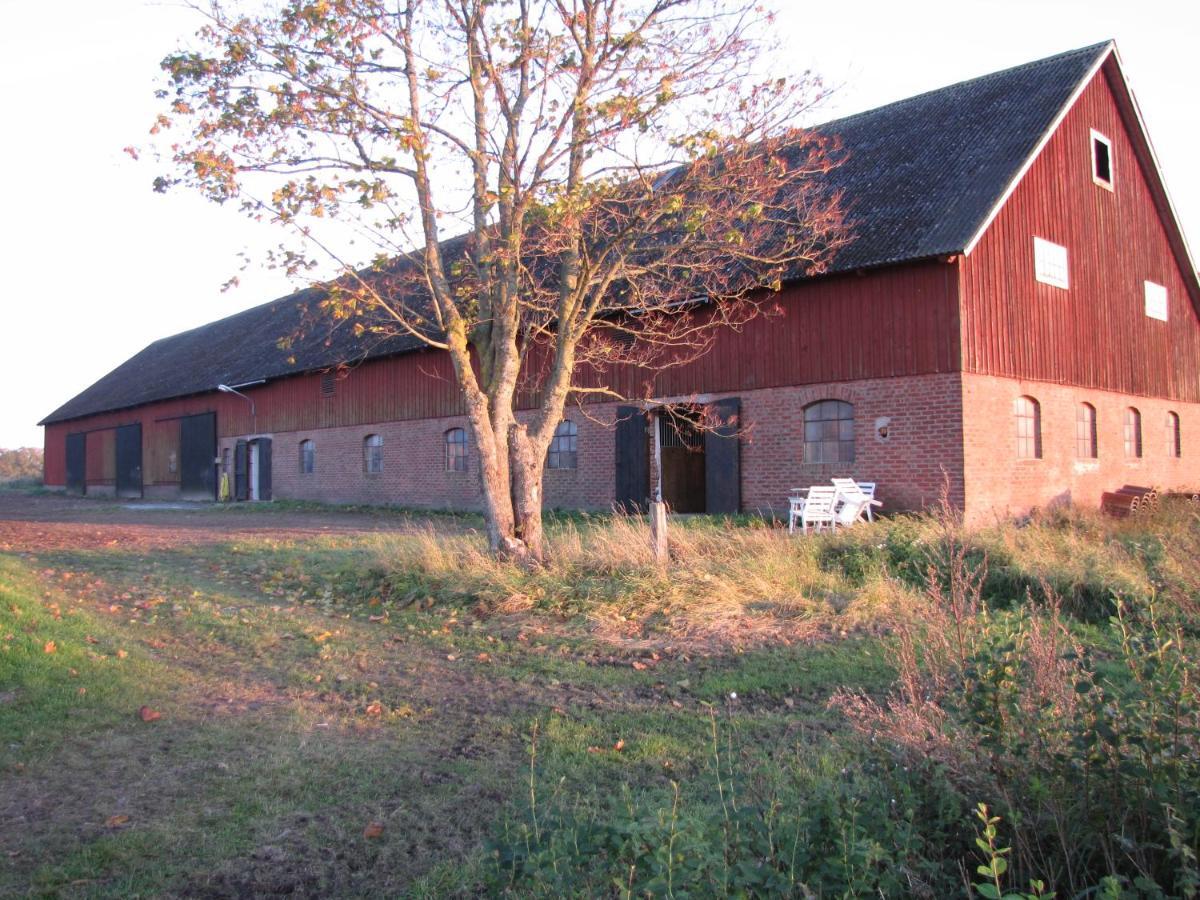 Stalemara Gard Krickan Fågelmara Buitenkant foto